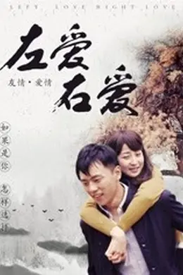 左爱右爱封面图