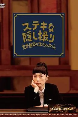 了不起的窃照：完美的接待员封面图