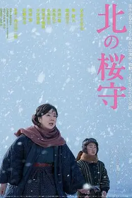 北之樱守封面图