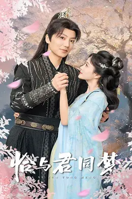 恰与君同梦海报图片