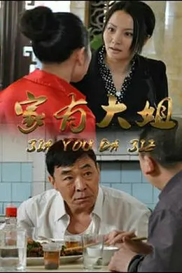 家有大姐封面图