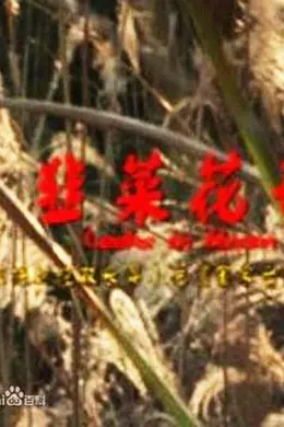 韭菜花开封面图