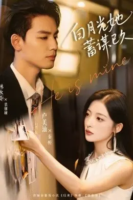 白月光她蓄谋已久海报图片