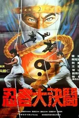 忍者大决斗1984封面图