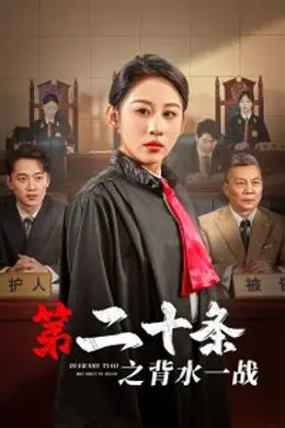 第二十条之背水一战海报图片