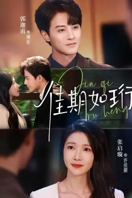 佳期如珩海报图片