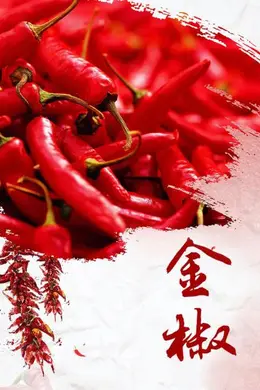 金椒封面图