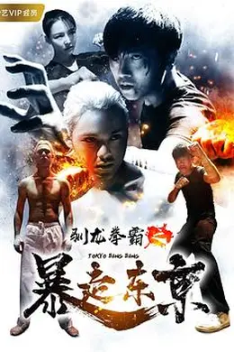驯龙拳霸之暴走东京封面图