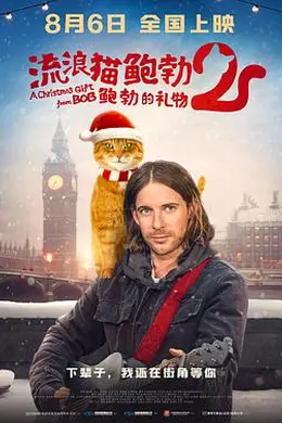 鲍勃的礼物封面图