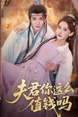夫君你这么值钱吗封面图