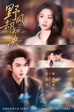 野风却知泱海报图片
