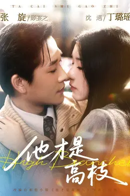 他才是高枝封面图