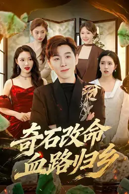 奇石改命血路归乡海报图片