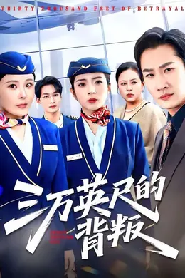 三万英尺的背叛封面图