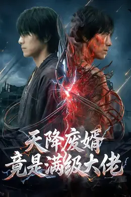 天降废婿竟是满级大佬海报图片