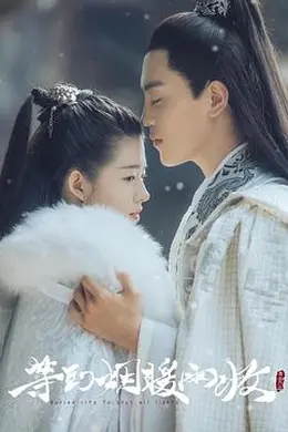 等到烟暖雨收封面图