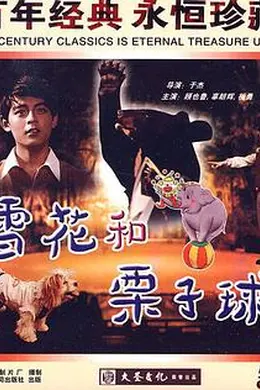 雪花和栗子球封面图