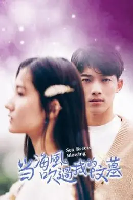 当海风吹过我的坟墓封面图