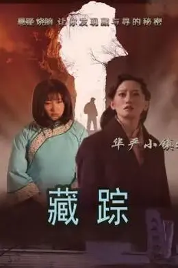 华严小镇2之藏踪封面图