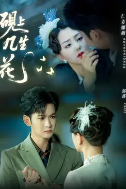 砚上几生花封面图