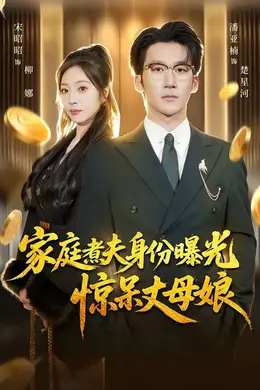 家庭煮夫身份曝光惊呆丈母娘海报图片