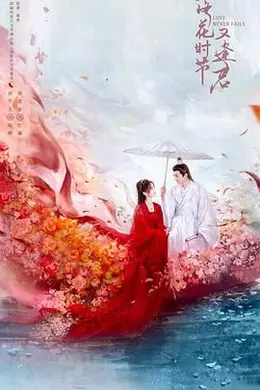 落花时节又逢君2025封面图