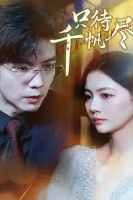 只待千帆尽海报图片