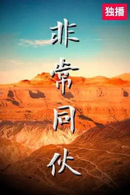 非常同伙封面图