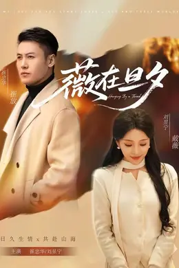 薇在旦夕封面图