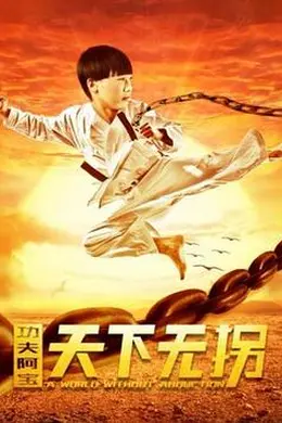 功夫阿宝：天下无拐海报图片