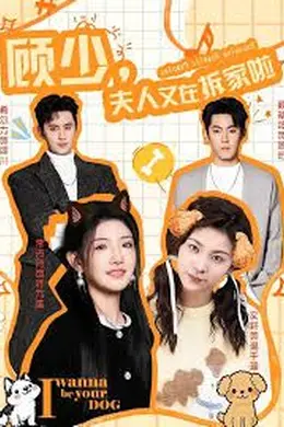 顾少，夫人又在拆家啦封面图