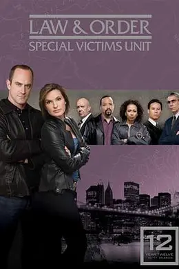 法律与秩序：特殊受害者第十二季封面图