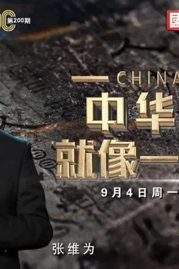 《这就是中国》200期：与张维为、王巍一同致敬生生不息的中华文明封面图
