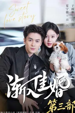 渐入佳婚3封面图