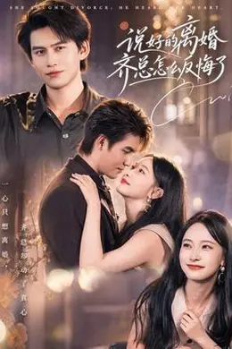 说好的离婚齐总怎么反悔了海报图片