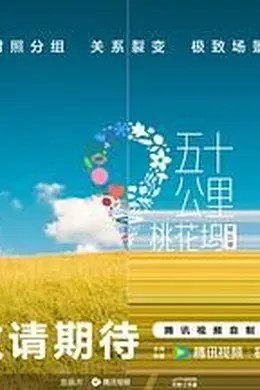五十公里桃花坞 第五季封面图