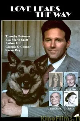 爱的引领封面图