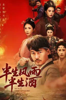 半生风雨半生酒封面图