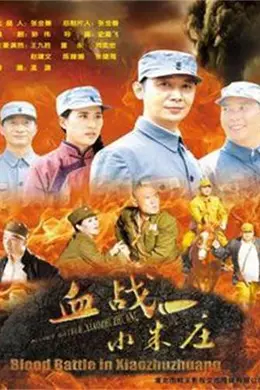 血战小朱庄封面图