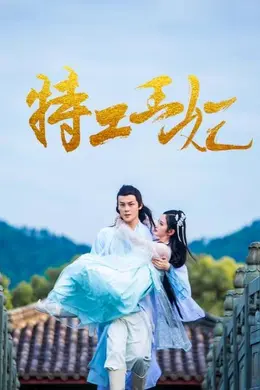 特工王妃封面图