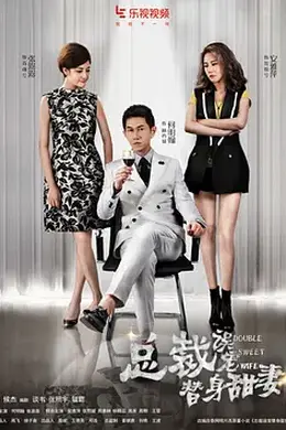 总裁误宠替身甜妻封面图