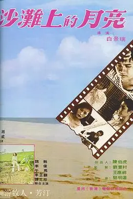 沙滩上的月亮封面图