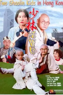 少林活宝贝封面图