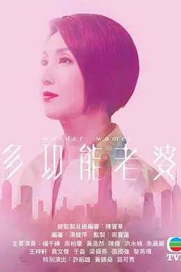 多功能老婆粤语封面图