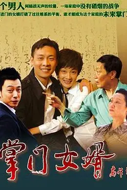 掌门女婿封面图