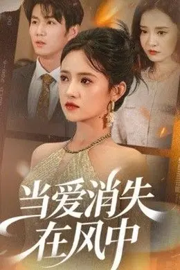 当爱消失在风中封面图