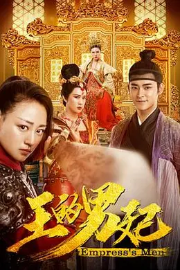 王的男妃封面图