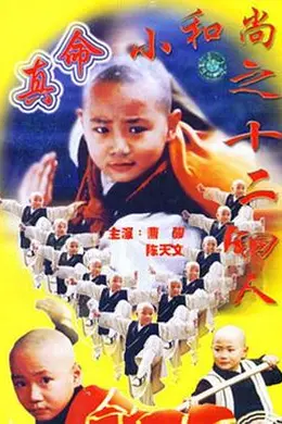 真命小和尚之十二铜人封面图