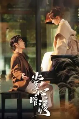 掌心暗渡海报图片