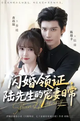 闪婚领证，陆先生的宠妻日常封面图